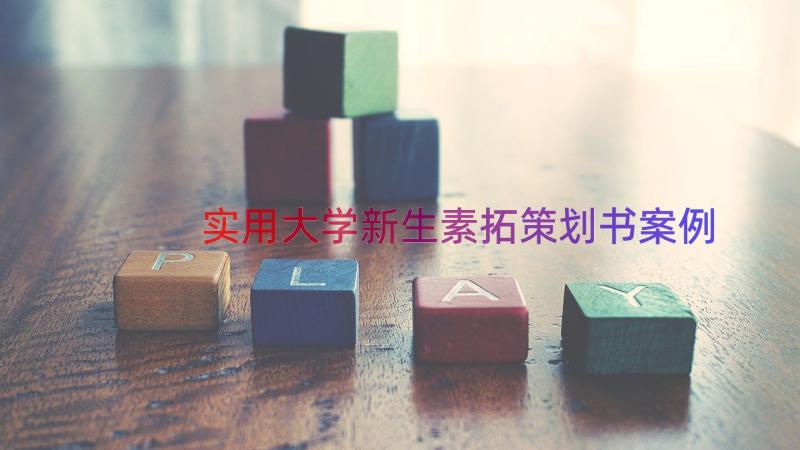 实用大学新生素拓策划书（案例16篇）