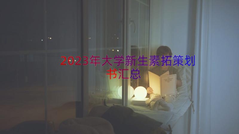 2023年大学新生素拓策划书（汇总14篇）