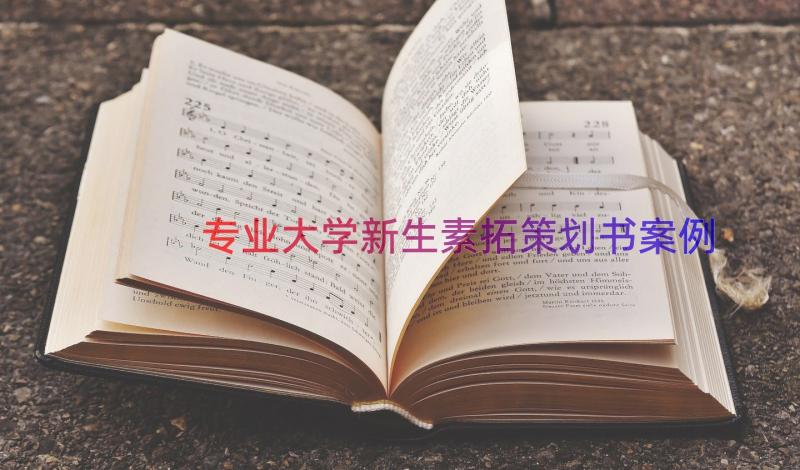 专业大学新生素拓策划书（案例17篇）