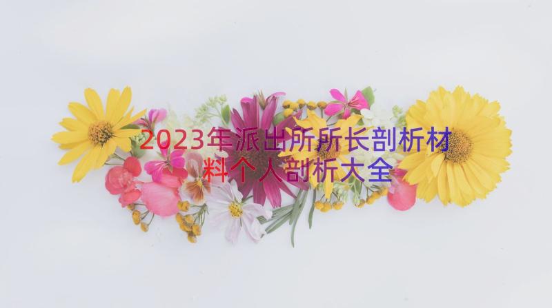 2023年派出所所长剖析材料个人剖析大全（16篇）