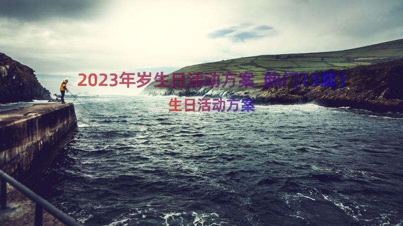 2023年岁生日活动方案（热门13篇）