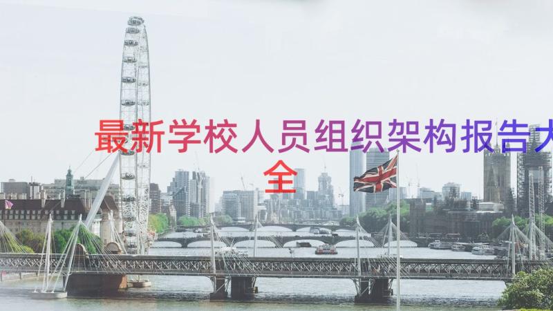 最新学校人员组织架构报告大全（14篇）