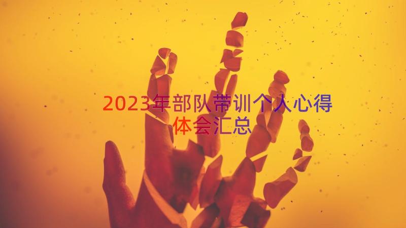 2023年部队带训个人心得体会（汇总18篇）