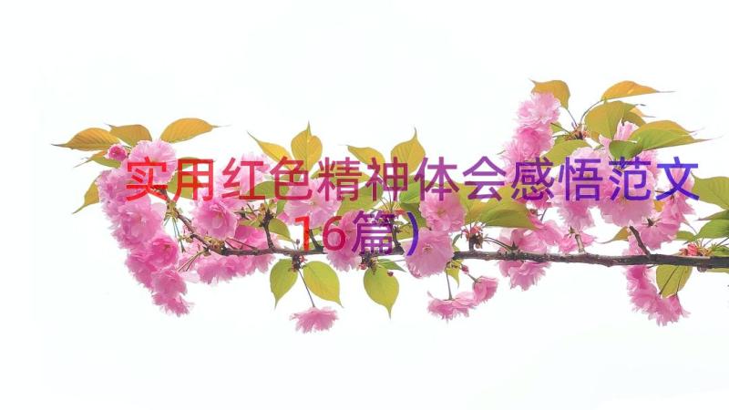 实用红色精神体会感悟范文（16篇）