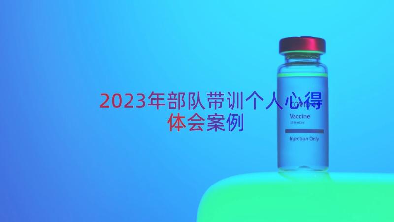 2023年部队带训个人心得体会（案例17篇）