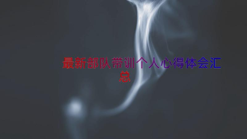 最新部队带训个人心得体会（汇总12篇）