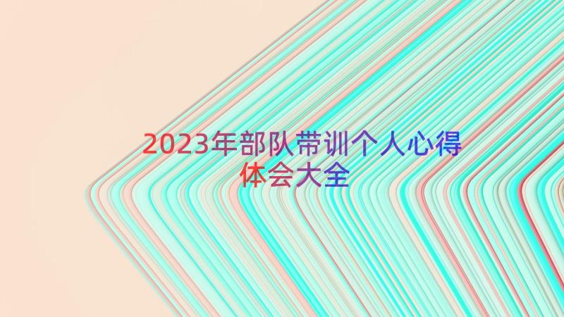 2023年部队带训个人心得体会大全（18篇）