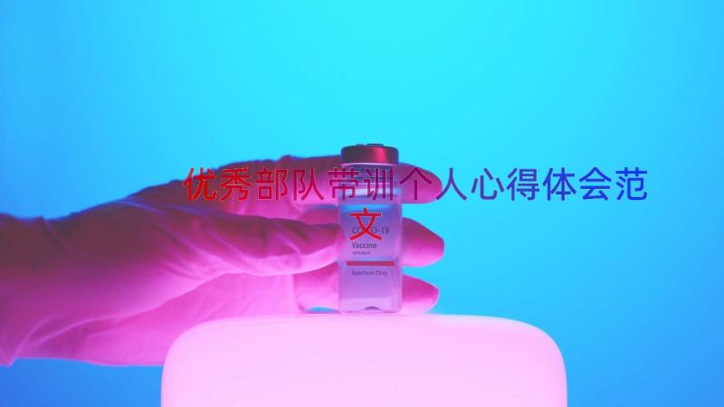 优秀部队带训个人心得体会范文（12篇）