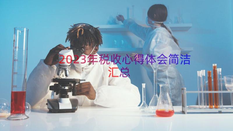 2023年税收心得体会简洁（汇总12篇）