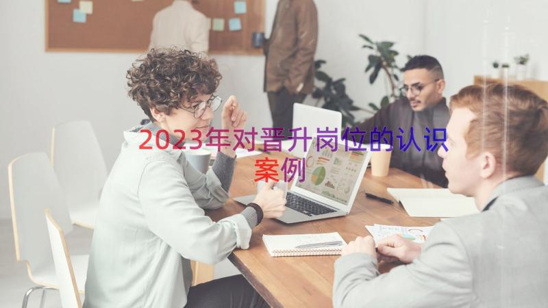 2023年对晋升岗位的认识（案例16篇）