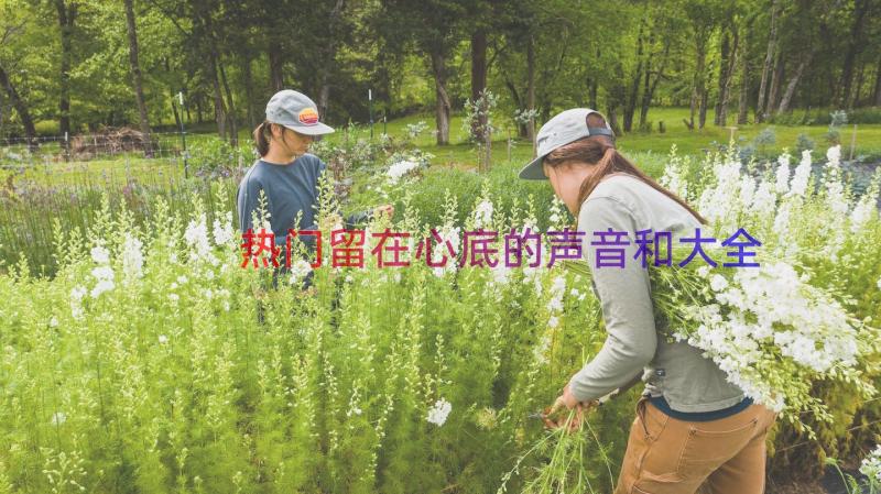 热门留在心底的声音和大全（16篇）