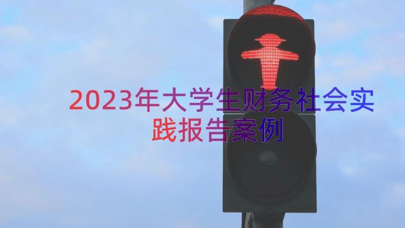 2023年大学生财务社会实践报告（案例15篇）