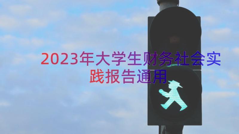 2023年大学生财务社会实践报告（通用17篇）