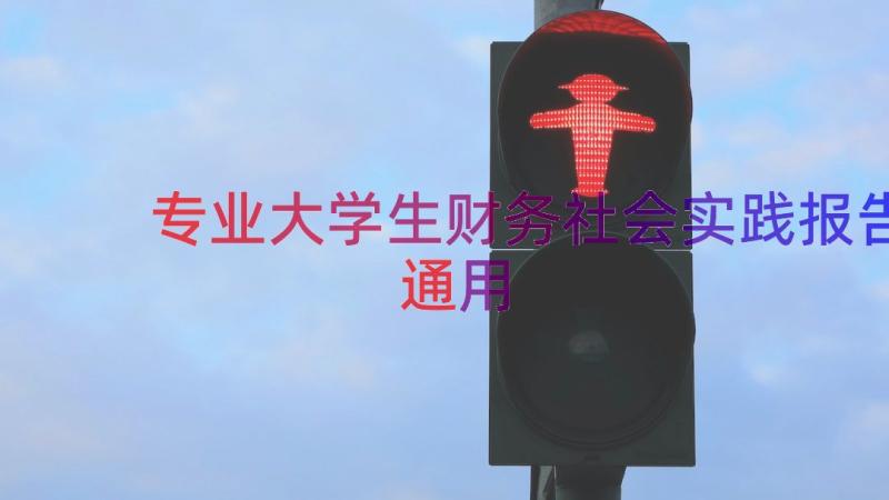 专业大学生财务社会实践报告（通用15篇）