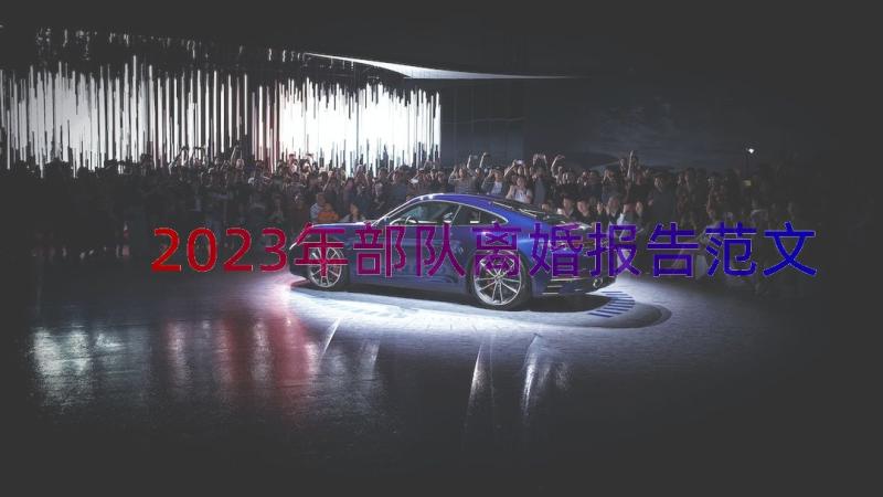 2023年部队离婚报告范文（12篇）