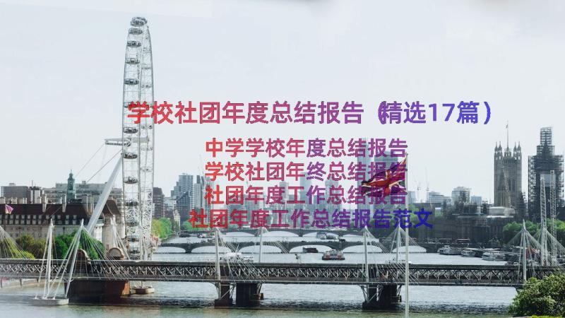 学校社团年度总结报告（精选17篇）