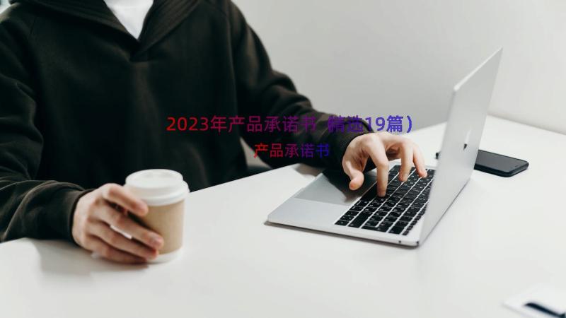 2023年产品承诺书（精选19篇）