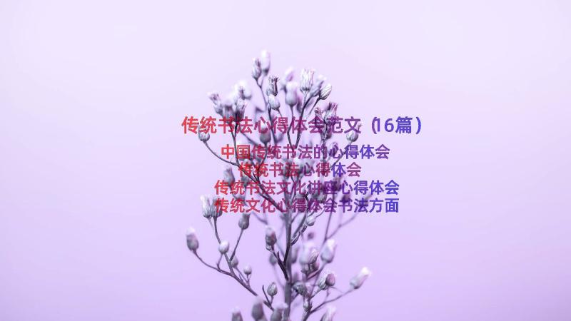 传统书法心得体会范文（16篇）