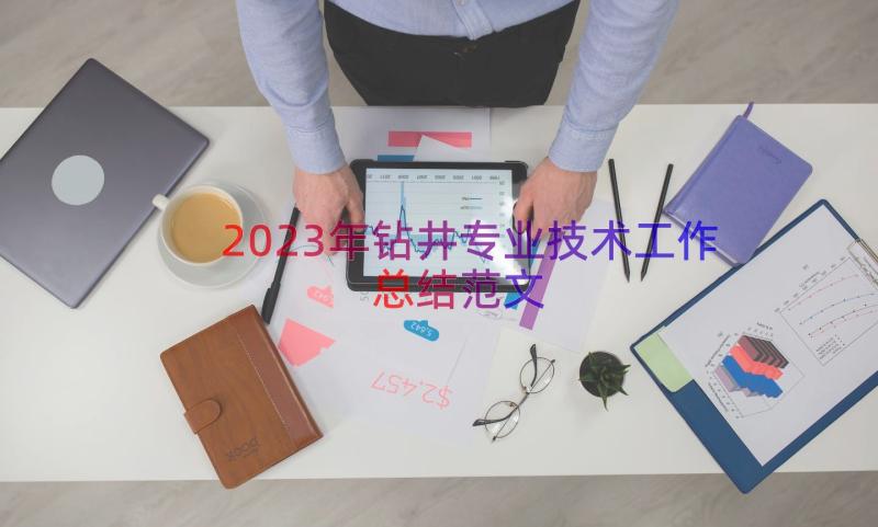 2023年钻井专业技术工作总结范文（17篇）