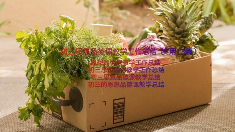 初三思想品德课教学工作总结（实用13篇）