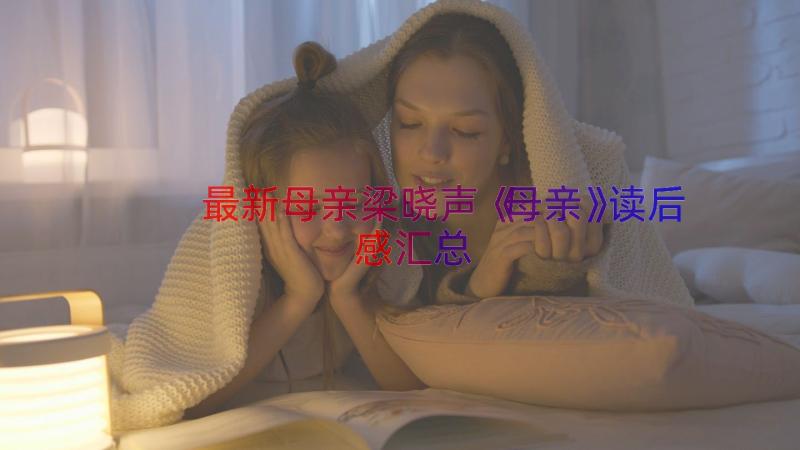 最新母亲梁晓声《母亲》读后感（汇总14篇）