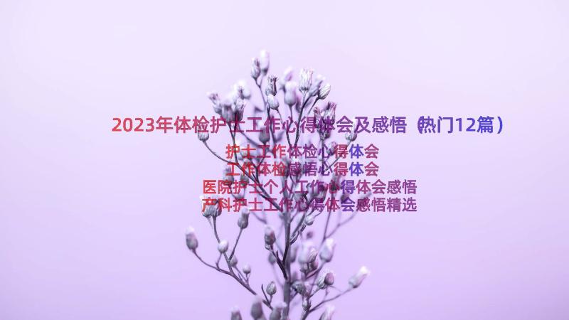 2023年体检护士工作心得体会及感悟（热门12篇）