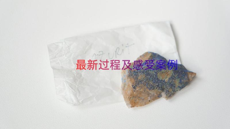 最新过程及感受（案例17篇）