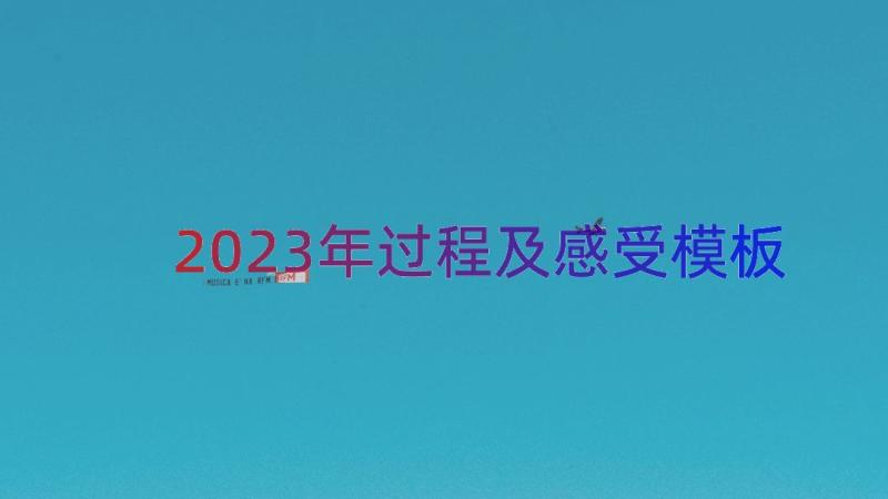 2023年过程及感受（模板17篇）