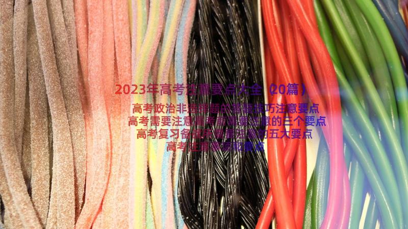 2023年高考注意要点大全（20篇）