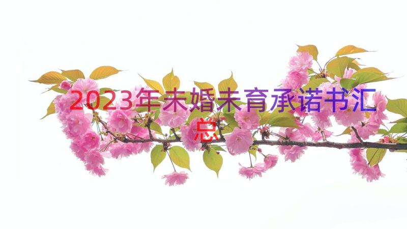 2023年未婚未育承诺书（汇总14篇）