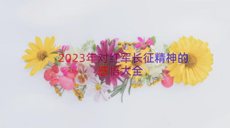 2023年对红军长征精神的感悟大全（16篇）