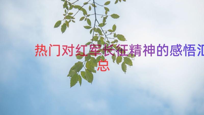 热门对红军长征精神的感悟（汇总14篇）