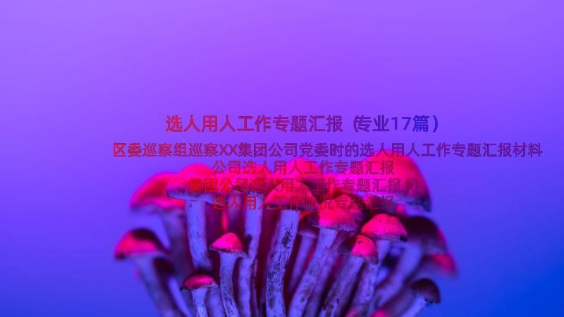 选人用人工作专题汇报（专业17篇）