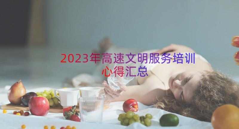 2023年高速文明服务培训心得（汇总18篇）