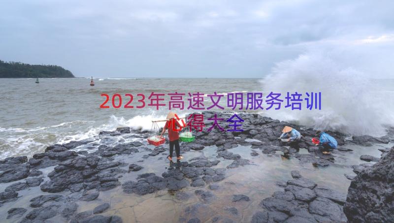 2023年高速文明服务培训心得大全（17篇）