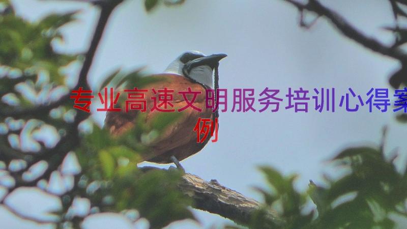 专业高速文明服务培训心得（案例15篇）