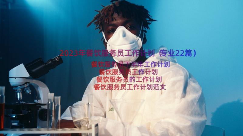 2023年餐饮服务员工作计划（专业22篇）