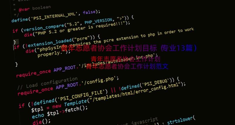青年志愿者协会工作计划目标（专业13篇）