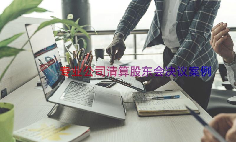 专业公司清算股东会决议（案例15篇）