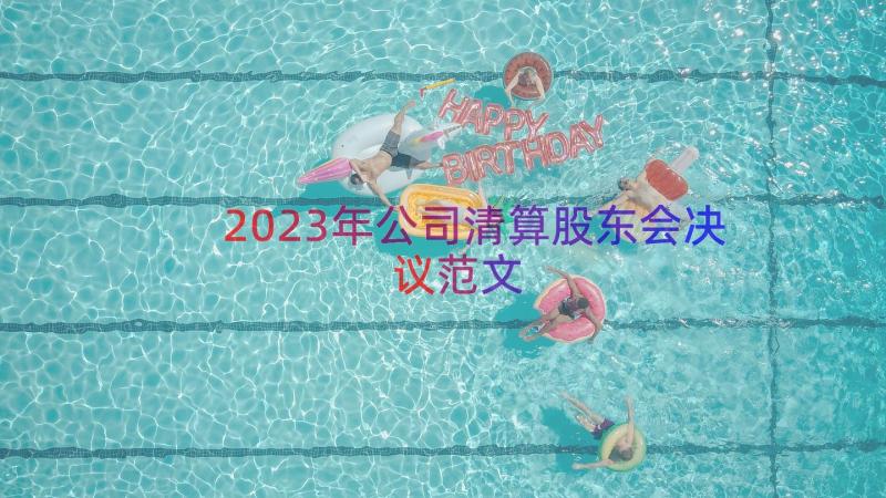 2023年公司清算股东会决议范文（13篇）