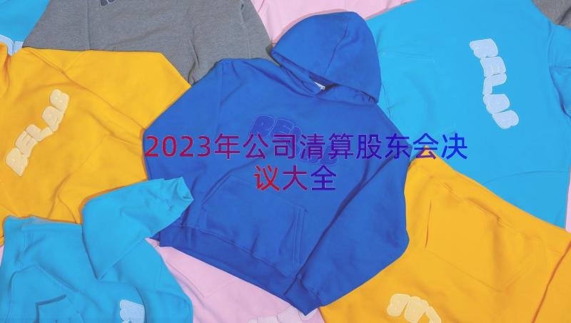 2023年公司清算股东会决议大全（16篇）