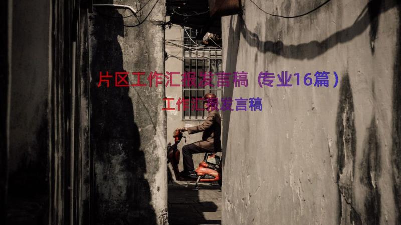 片区工作汇报发言稿（专业16篇）