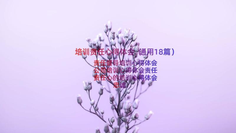 培训责任心得体会（通用18篇）