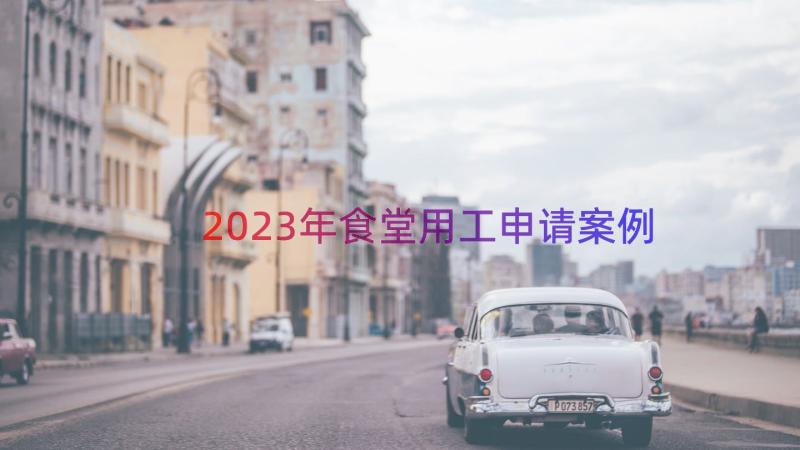 2023年食堂用工申请（案例14篇）