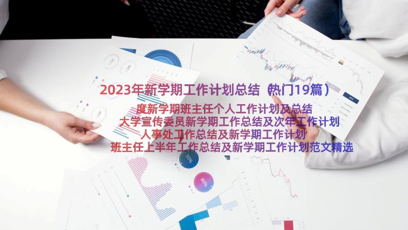 2023年新学期工作计划总结（热门19篇）