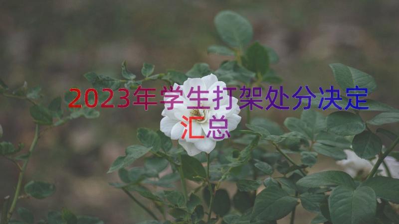 2023年学生打架处分决定（汇总14篇）