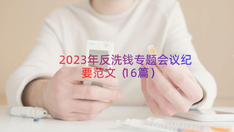 2023年反洗钱专题会议纪要范文（16篇）