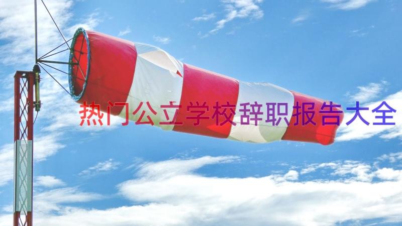 热门公立学校辞职报告大全（17篇）