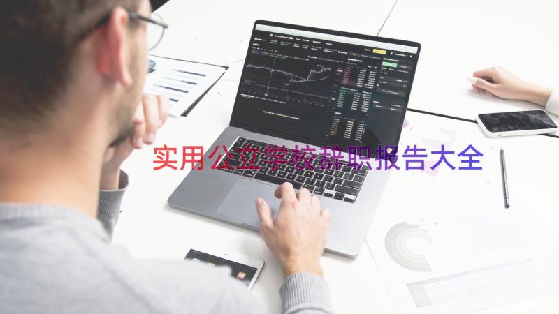 实用公立学校辞职报告大全（13篇）