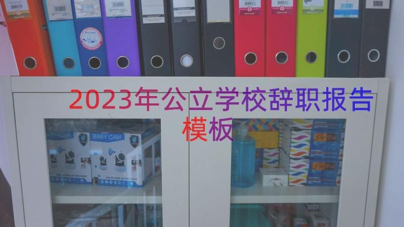 2023年公立学校辞职报告（模板14篇）